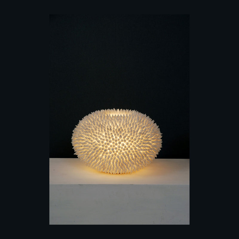Lampe de chevet | Velnevissa