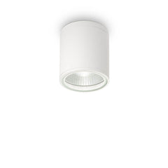 Plafonnier extérieur GUN blanc