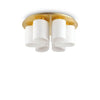 Luminaire plafonnier | Daisy