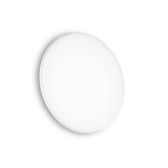 Plafonnier extérieur MIB blanc (269115)