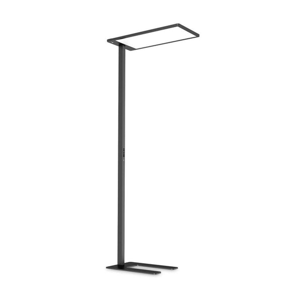 Lampadaire Comfort noir, verre (306469)
