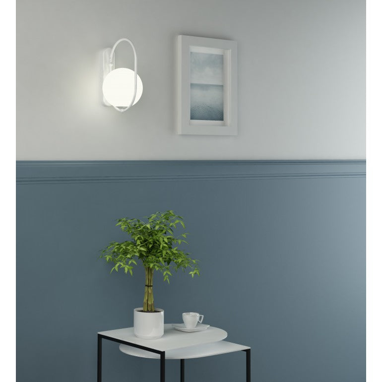 Mise en ambiance murale blanche au-dessus d'une plante verte sur table