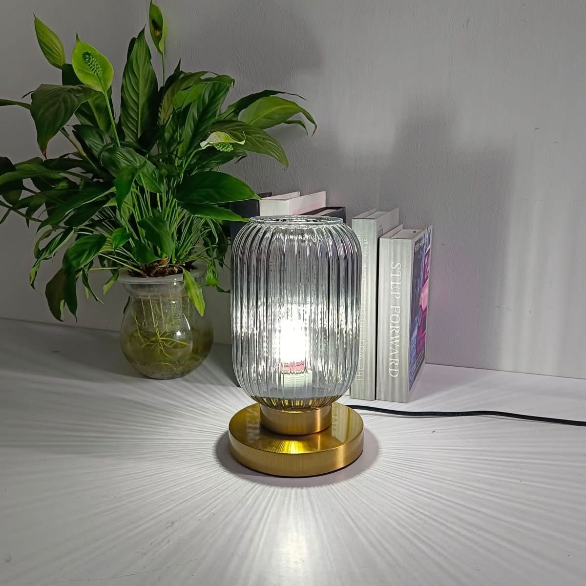 Lampe en verre strié transparent sur table blanche, plante verte et livres derrière