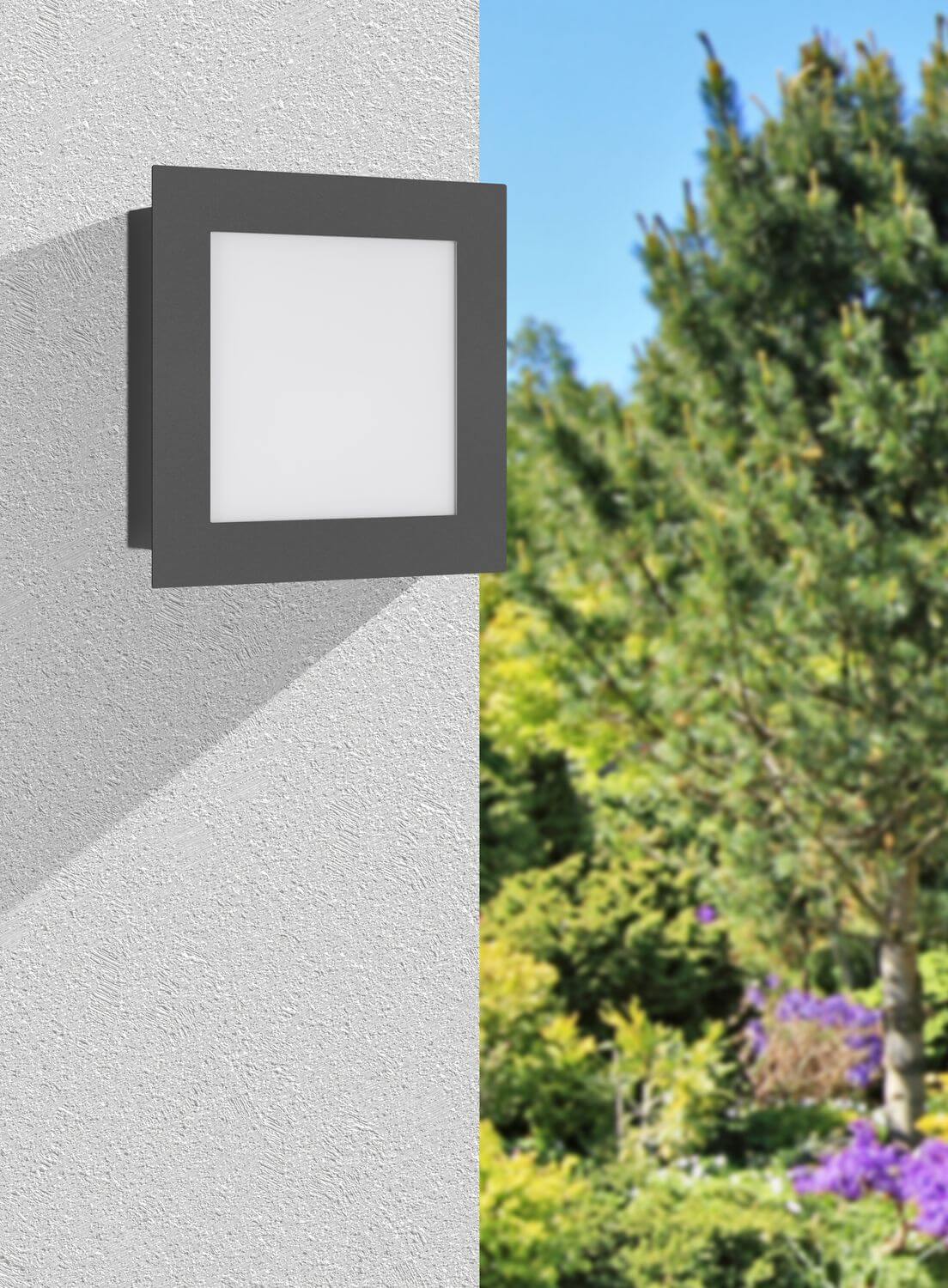 Mise en ambiance extérieure sur mur crépit clair, jardin et ciel bleu