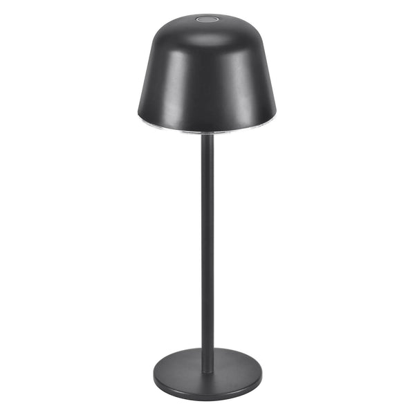 Lampe extérieure Endura Style anthracite et aluminium
