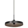 Suspension luminaire | Plate Noire