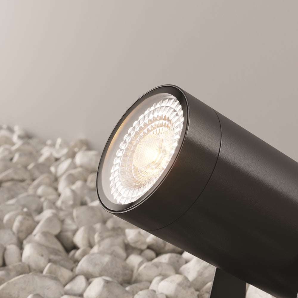 Vue rapprochée de la face lumineuse striée et de sa collerette