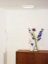 Plafonnier LED | Tendo Blanc