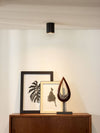 Luminaire plafonnier | Bodi
