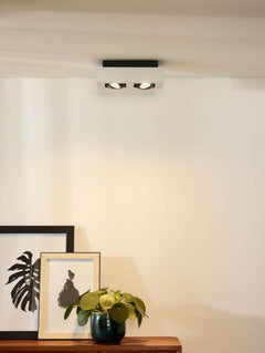 Plafonnier Xirax 2 lumières blanc et noir
