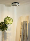 Luminaire plafonnier | Aridorella