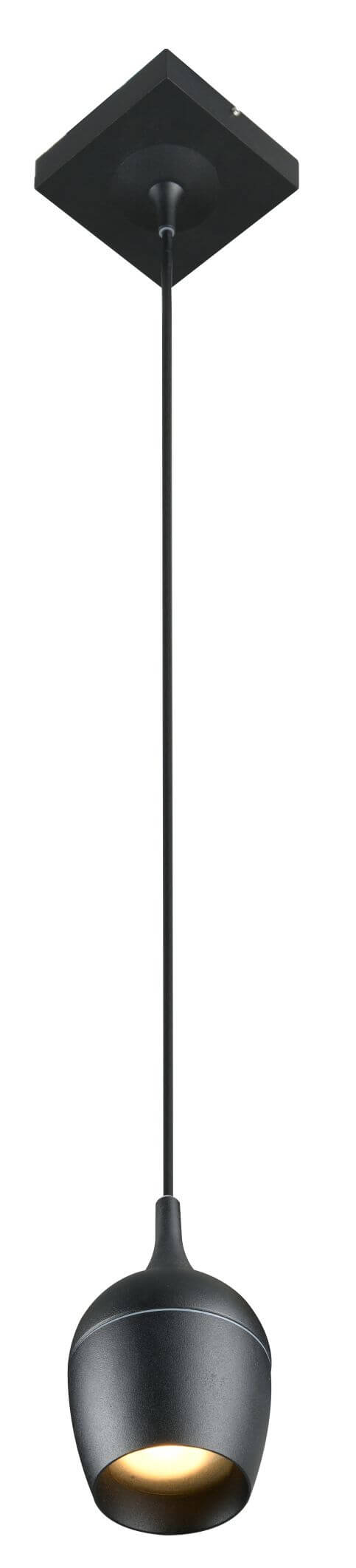 Suspension luminaire | Preston Noire