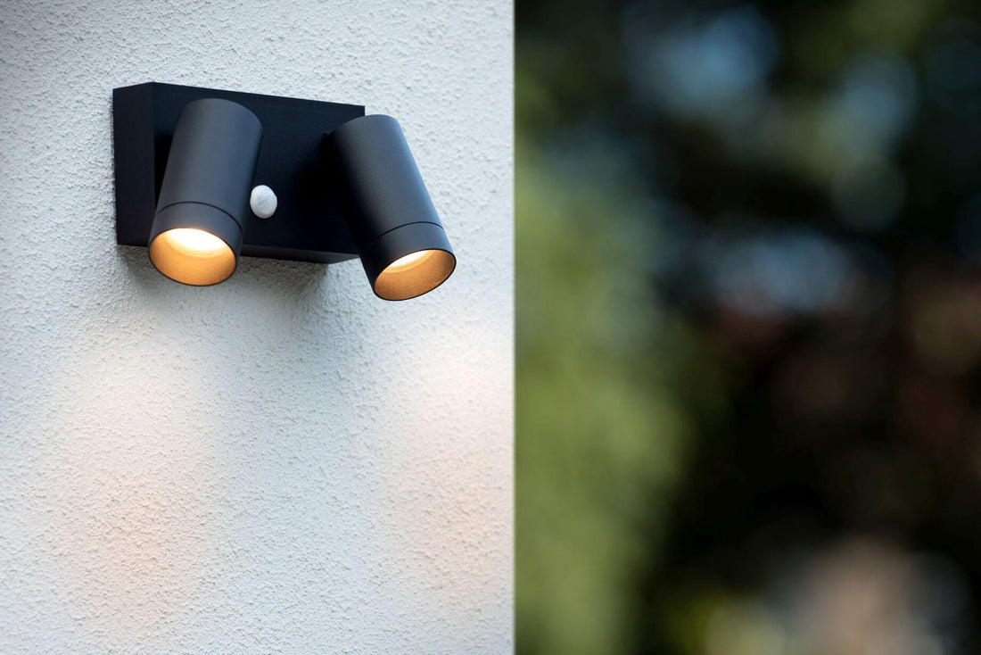 Applique extérieure Taylor 2 lumières noire