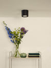 Luminaire plafonnier | Fedler