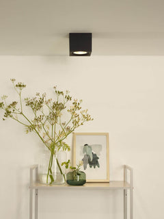 Luminaire plafonnier | Fedler Noir