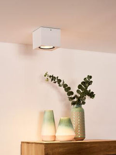 Luminaire plafonnier | Velfenora