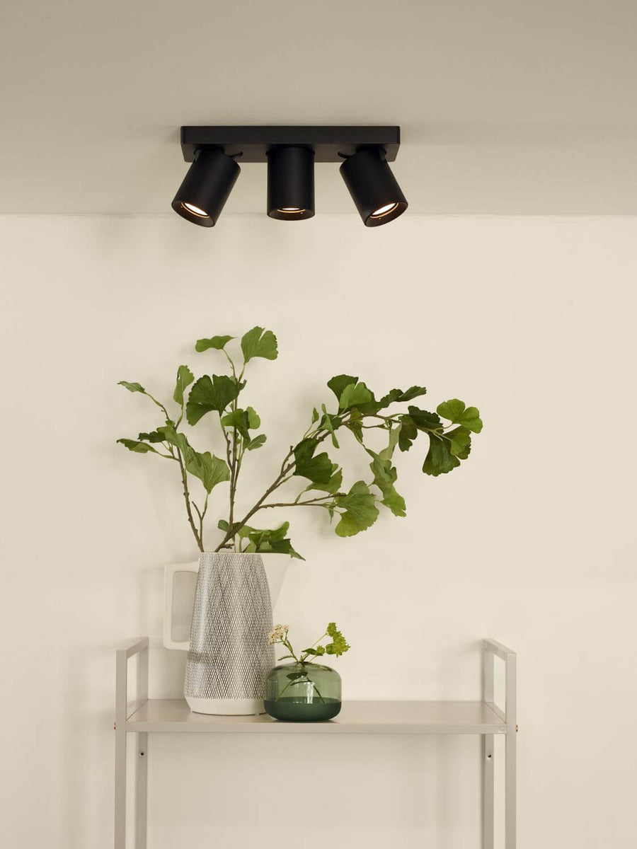Plafonnier noir installé au plafond au-dessus d'une étagère avec vase et branches vertes