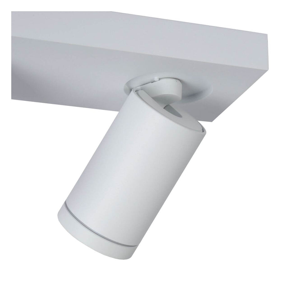 Plafonnier Taylor 2 lumières blanc