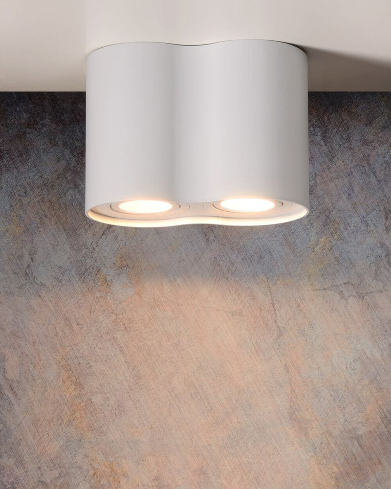 Plafonnier Tube 2 lumières blanc, L 17,7 cm