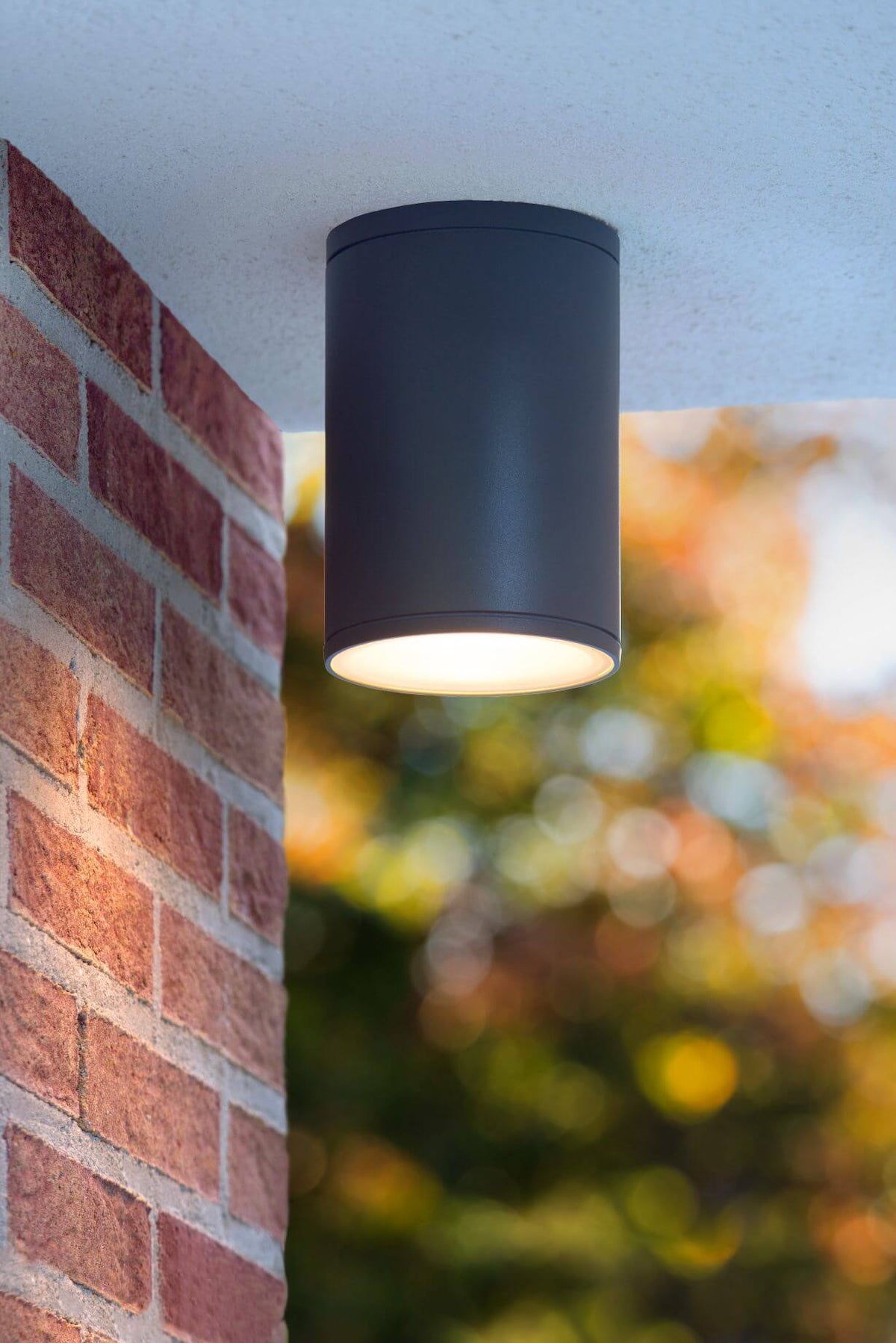Luminaire extérieur anthracite installé au plafond, éclairant un mur de briques et des feuillages flous.