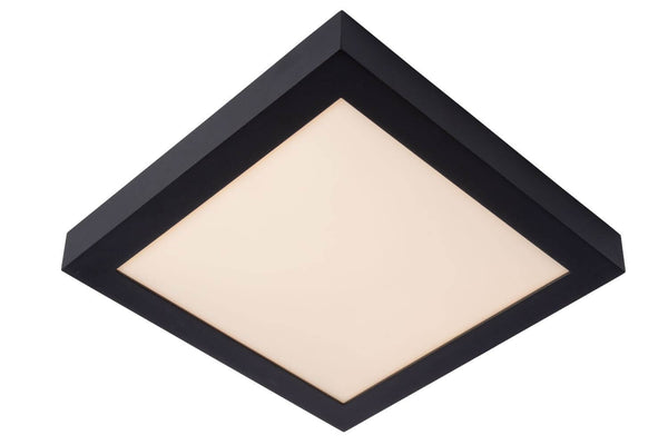 Plafonnier LED | Brice L 30 cm