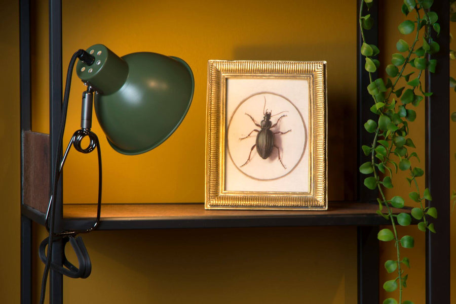Lampe de bureau Moys verte