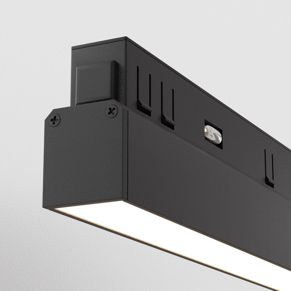 Basis Spot noir