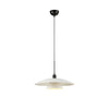 Suspension Millinge