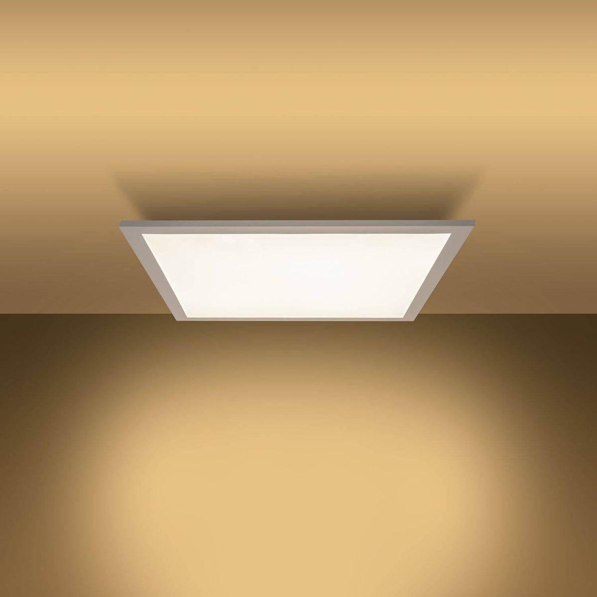 Plafonnier Nico blanc, L 59,5 cm