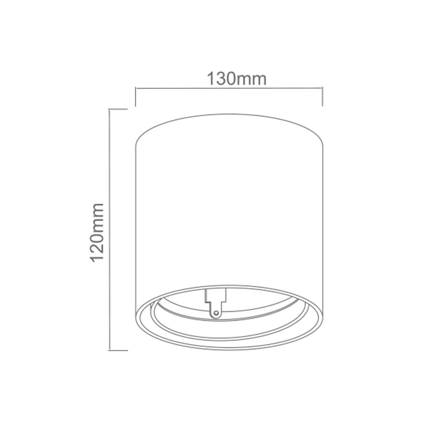 Spot plafond Neo orientable, 16 W
