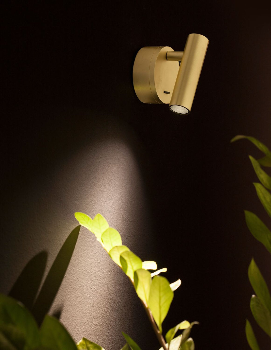 Applique murale | Clip Laiton