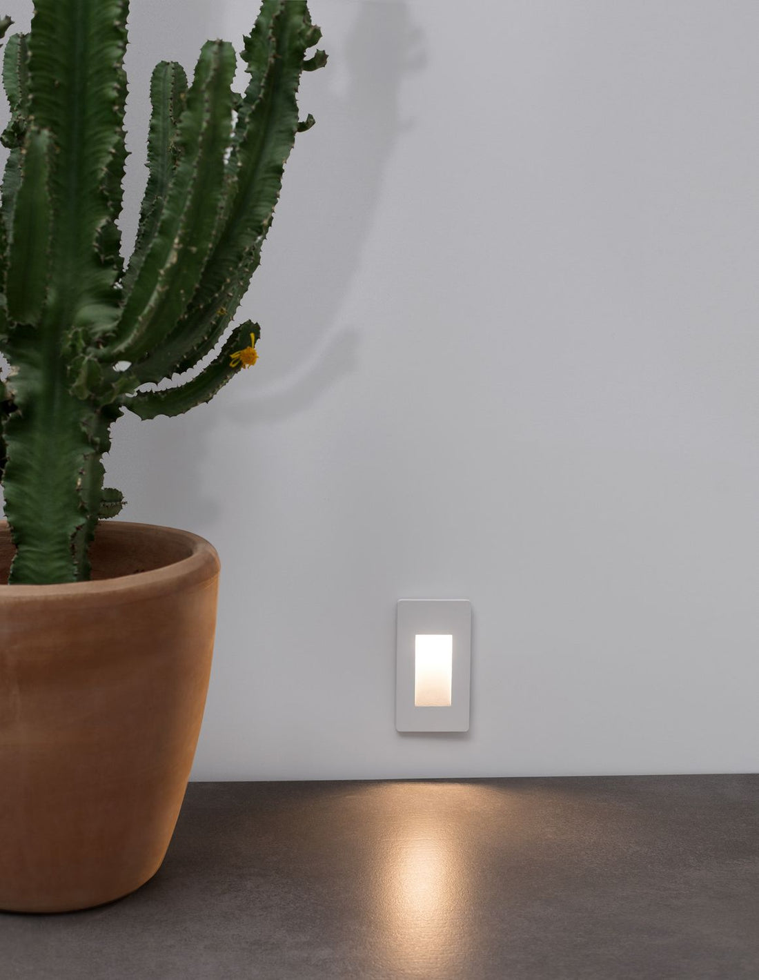 Luminaire extérieur | Cove Blanche