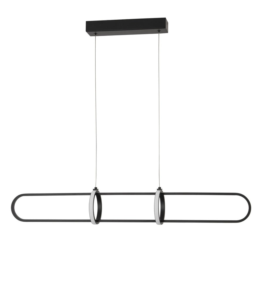 Vue de face du luminaire suspendu avec platine rectangulaire et deux câbles fins