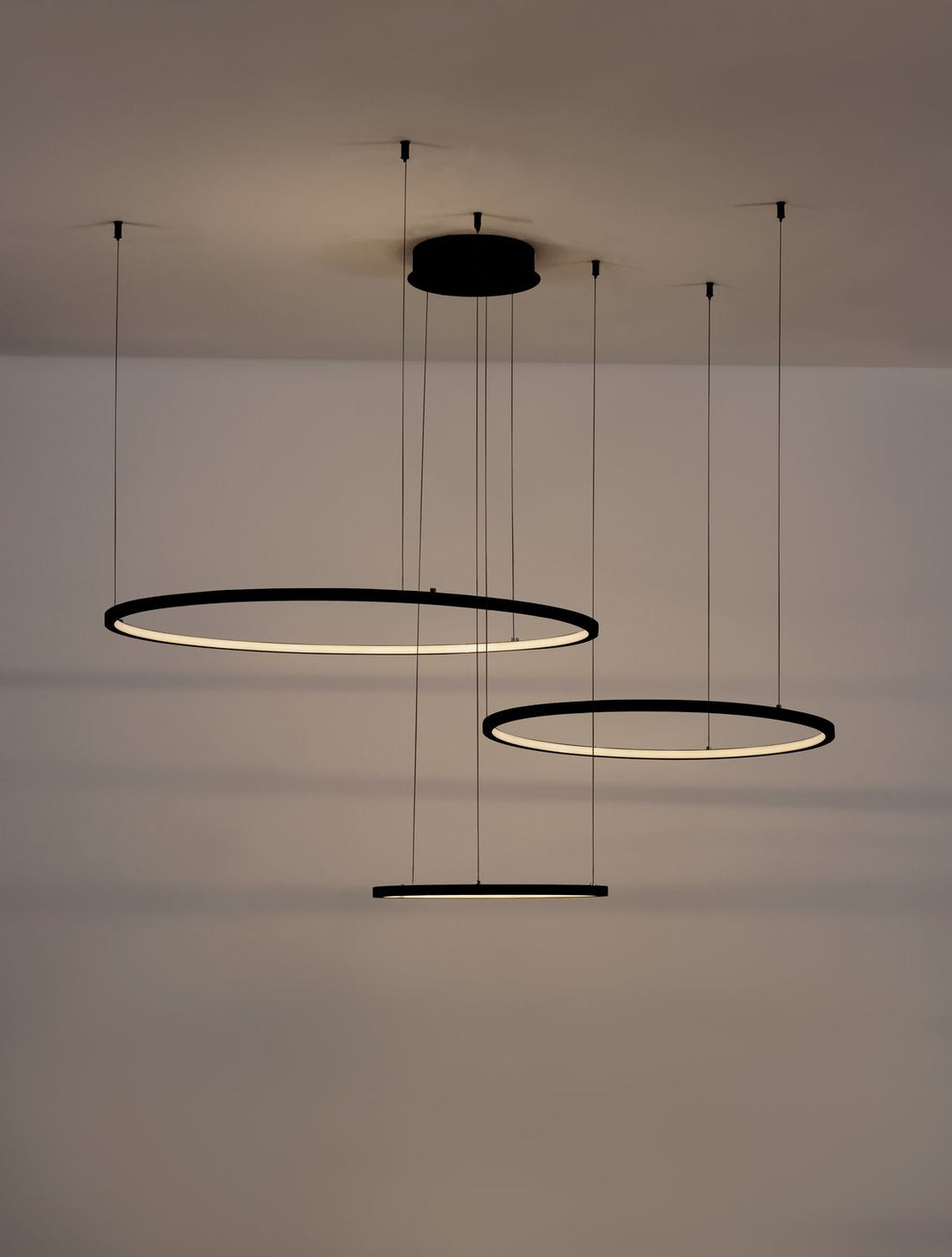 Suspension luminaire | Purple Noire