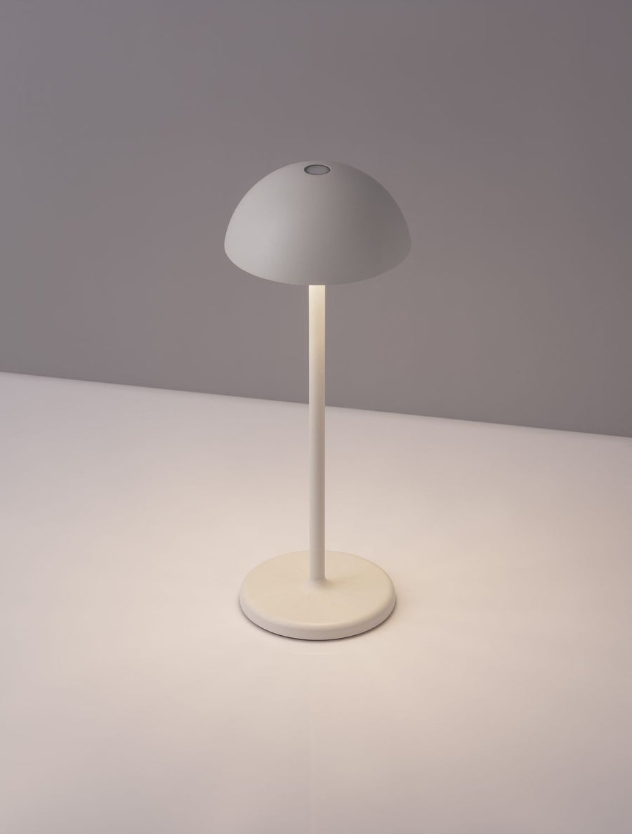 Lampe extérieure Rose blanche