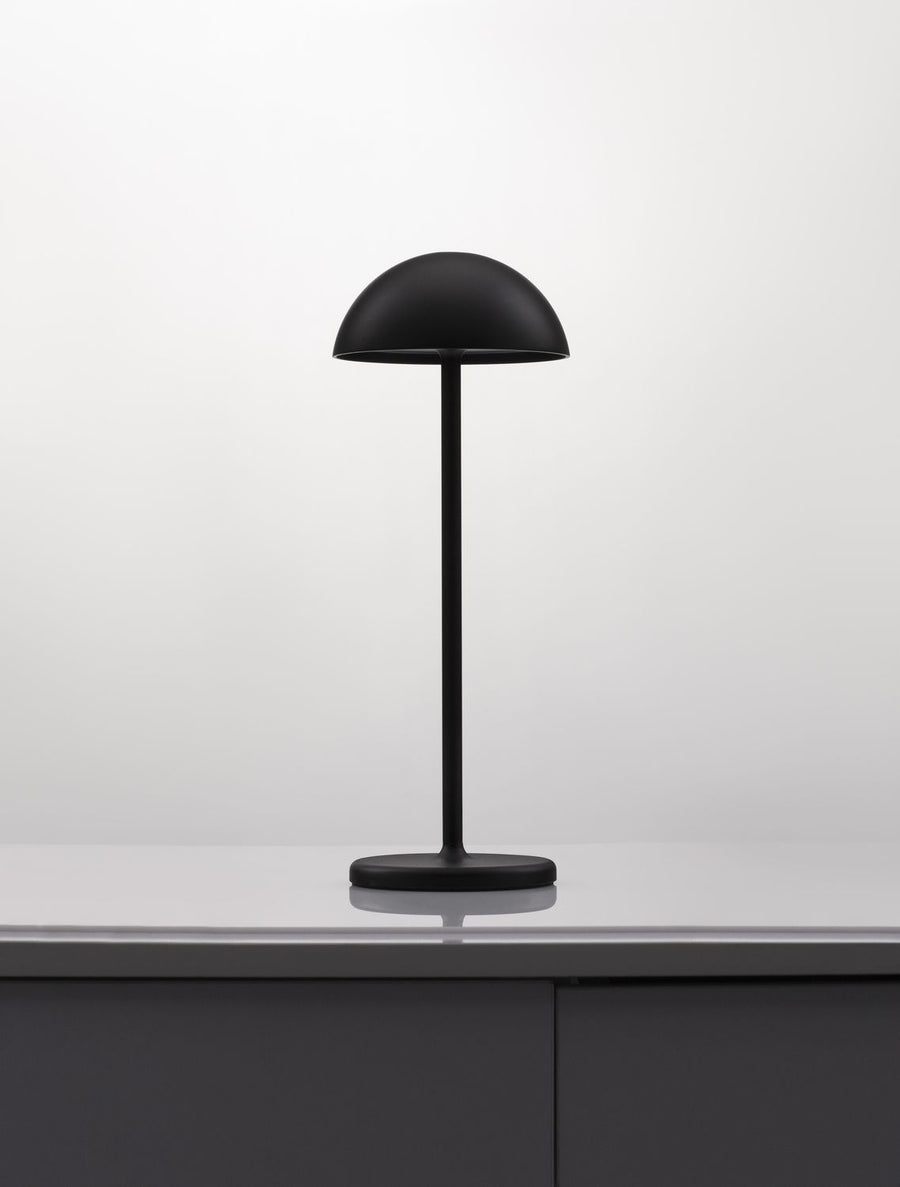 Lampe extérieure Rose noire