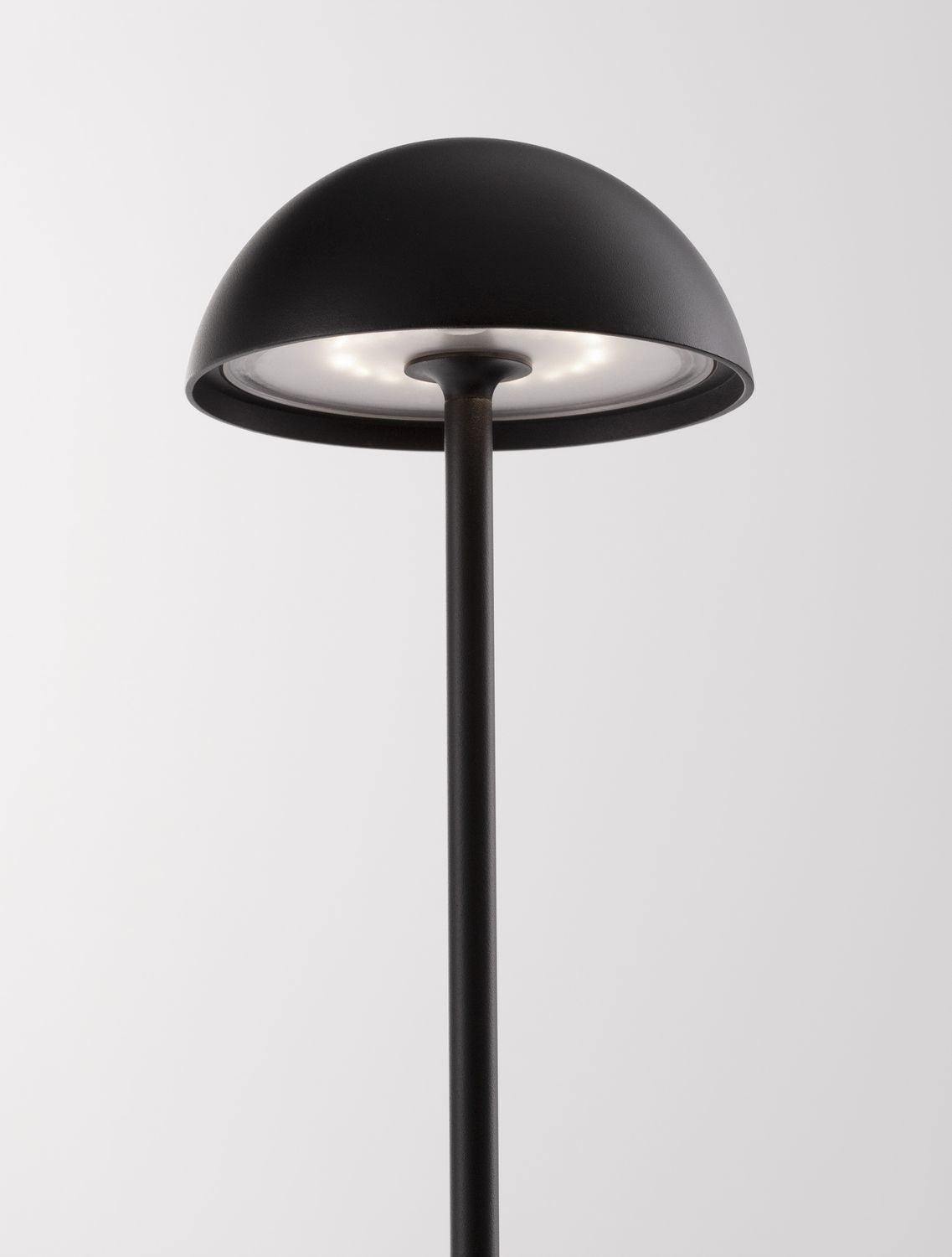 Lampe extérieure Rose noire