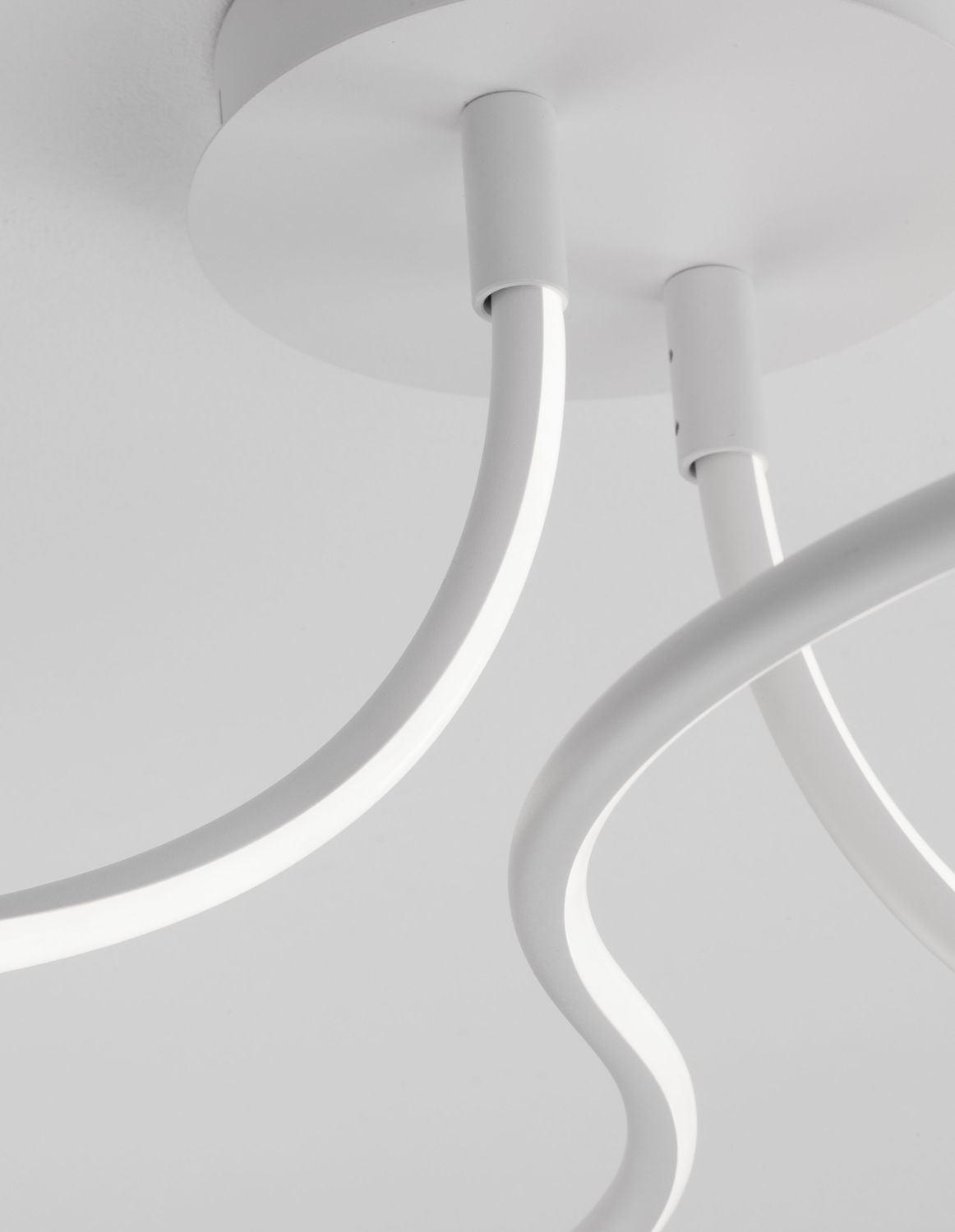 Détail rapproché des tubes lumineux courbes et de la coupelle de fixation
