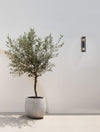 Luminaire extérieur | Almirea