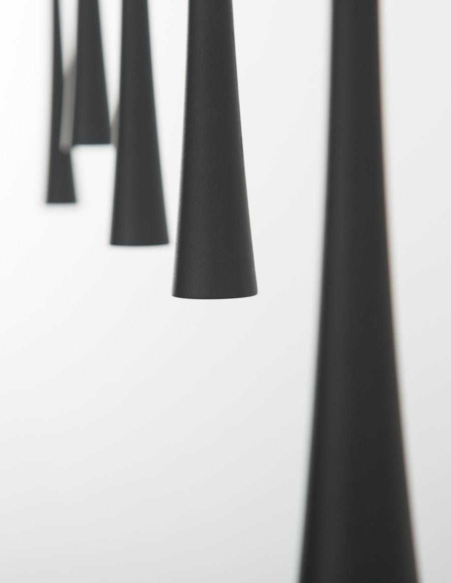 Gros plan sur les cônes noirs mats, fines silhouettes suspendues verticalement.