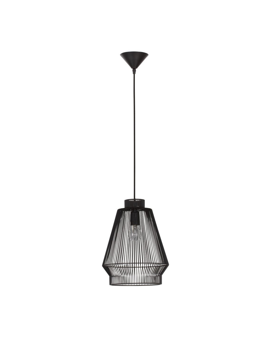 Vue de face du luminaire noir sur fond blanc, câble et rosace visibles