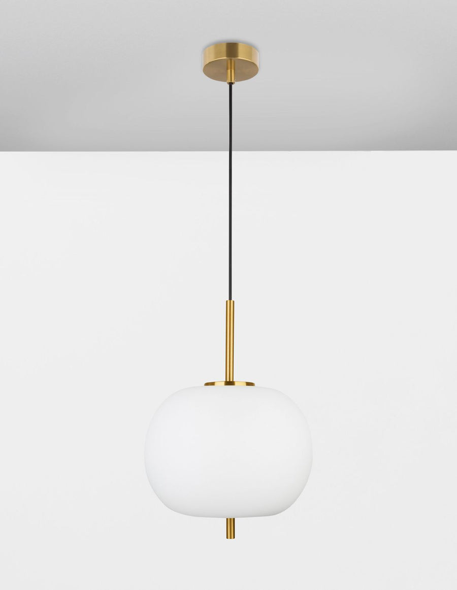 Vue d'ensemble montrant la fixation au plafond et le câble de suspension
