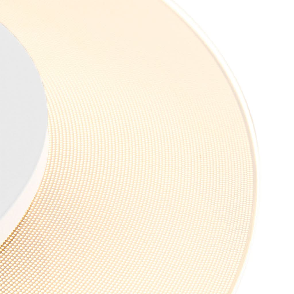Détail rapproché de l'anneau granuleux beige laissant passer la lumière