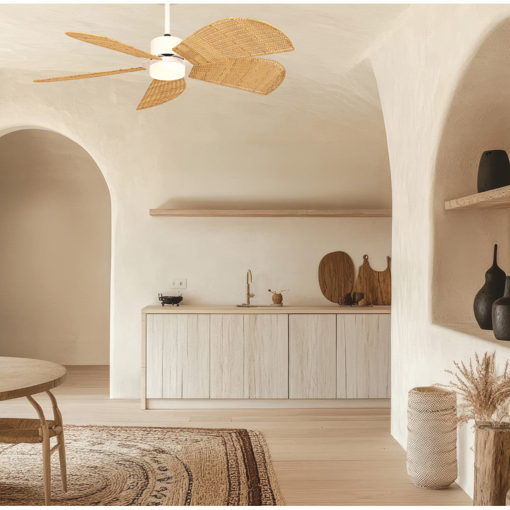Designix Showroom in Lyon