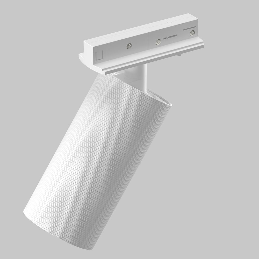 Détail du boîtier adaptateur blanc, des vis et de la tige orientable