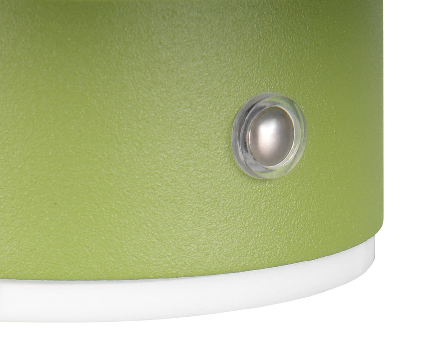 Détail de la finition granuleuse et du bouton poussoir argenté sur la coque verte