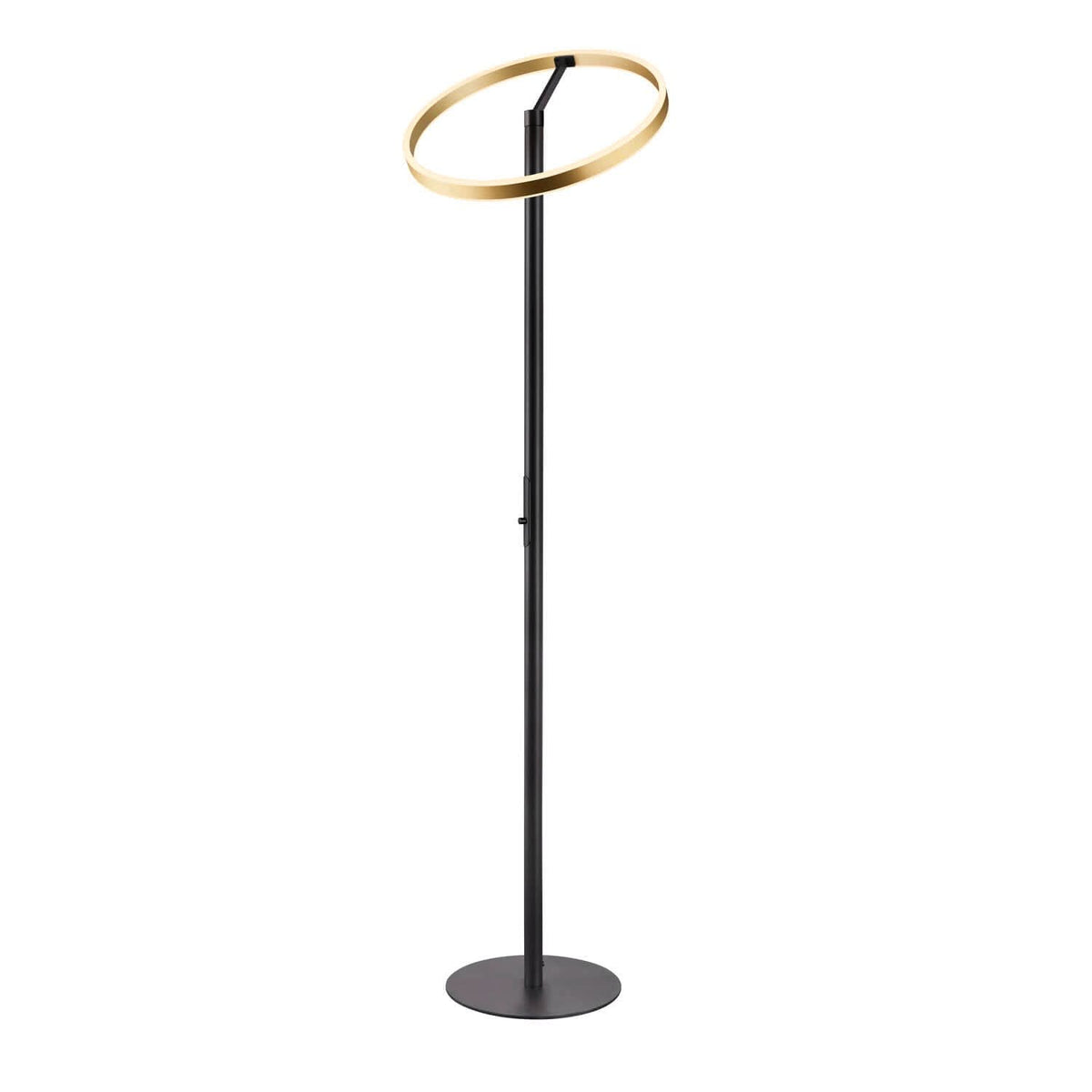 Autre angle du luminaire sur fond blanc, anneau laiton et tige verticale noire.