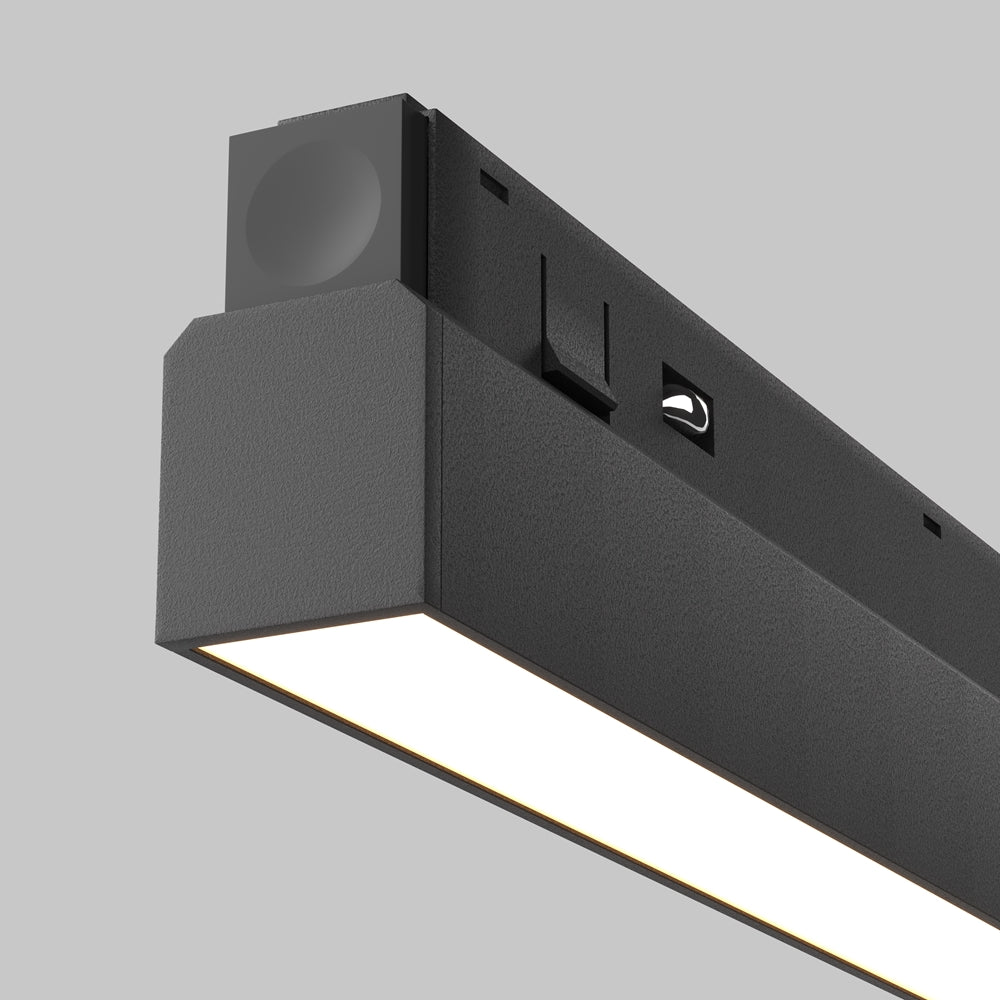 Basis Schwarzer Fleck
