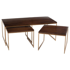 Couchtisch Rafi Eisen Mangoholz