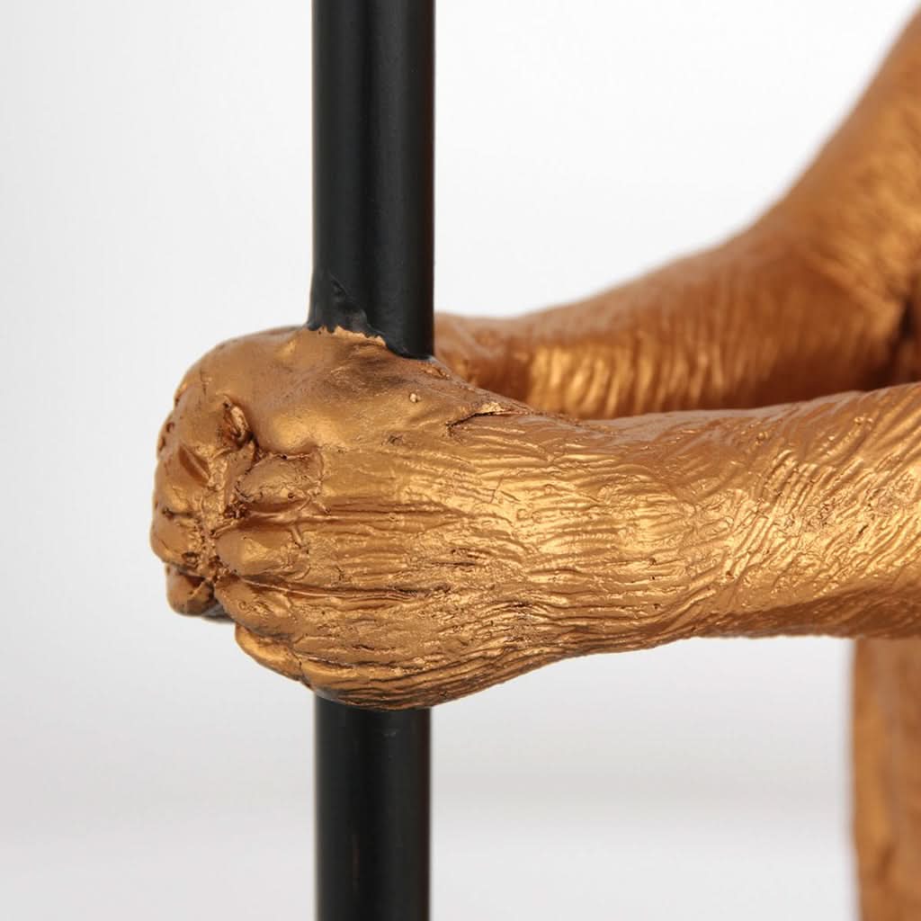 Gros plan sur les pattes dorées du suricate agrippant fermement le pied noir.